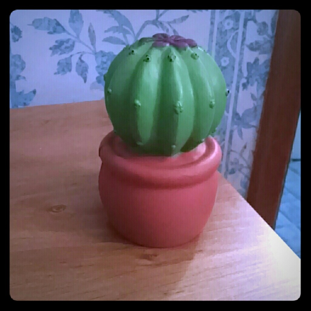 A catcus squishy